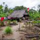 Descripción: Casa en medio de la selva baja en la orilla del Huallaga.